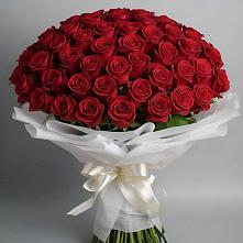 Букет 101 Красная роза Блэк Мэджик в Анискино