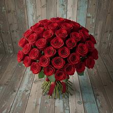 Букет 55 Красных роз Фридом #REPLACE_PRED# Анискино
