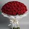 Букет 101 Красная роза Блэк Мэджик в Анискино