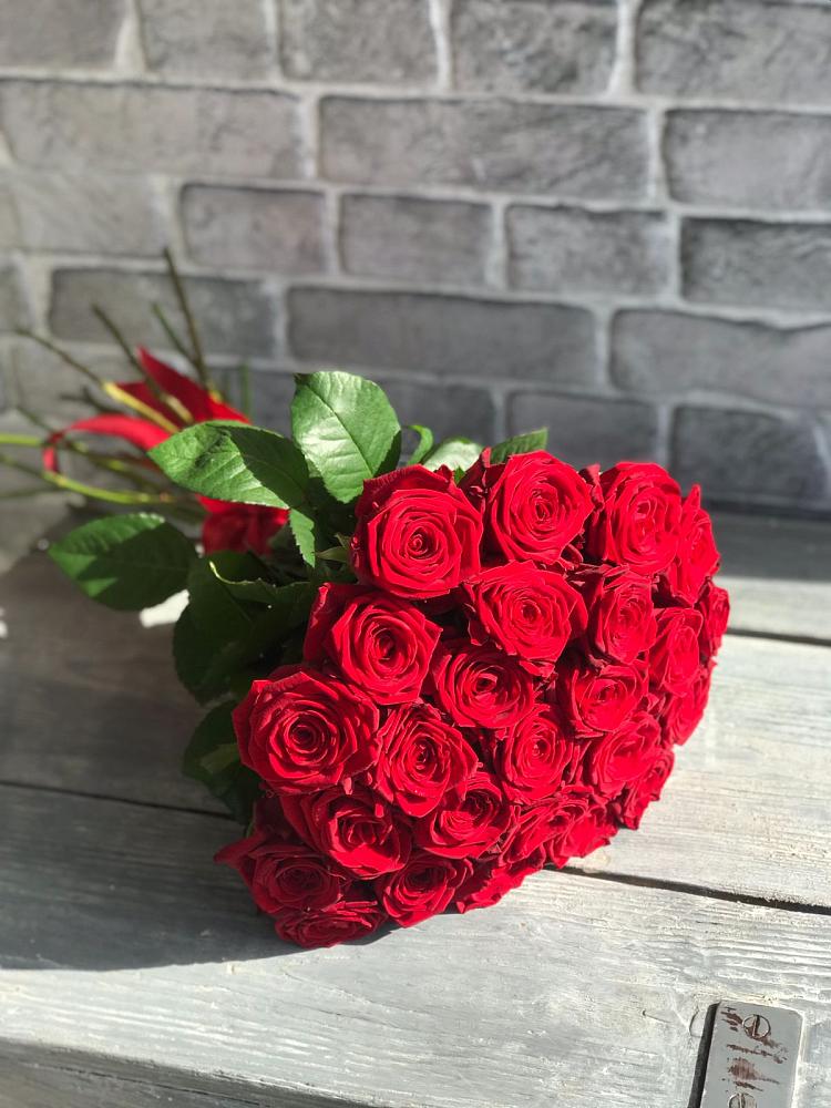 Букет Красные розы Фридом в Анискино