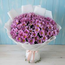 Букет цветов из:  Хризантемы в Анискино