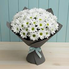 Букет цветов из:  Хризантемы в Анискино