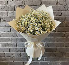 Букет цветов из:  Ромашки #REPLACE_PRED# Анискино
