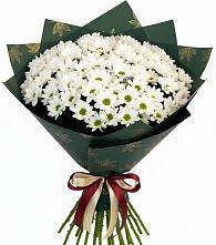 Букет цветов из:  Хризантемы в Анискино