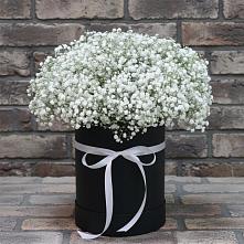 Цветочная композиция из Гипсофила в шляпной коробке в Анискино